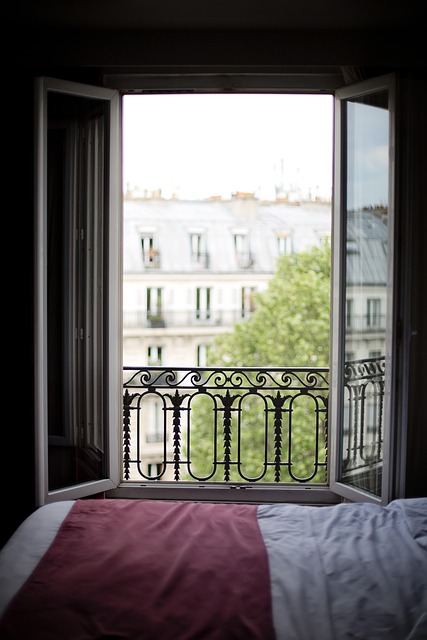 Paris Hotel Window