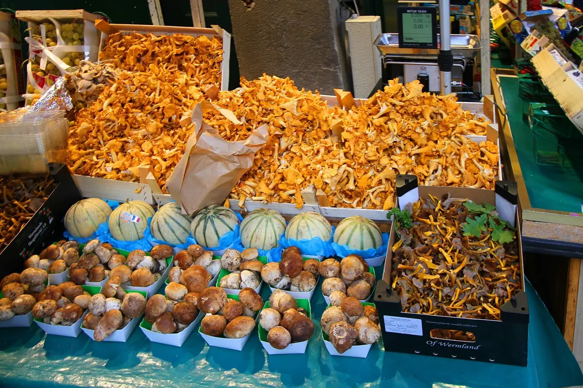 A mushroom display at a shop on the Rue Mouffetard market street in Paris