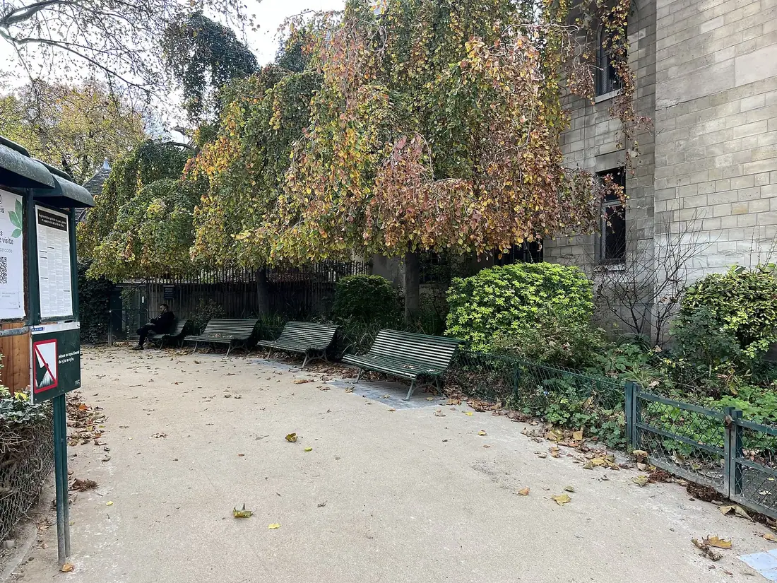 Square Saint-Médard in the 5th arrondissement of Paris, photographed in November 2023